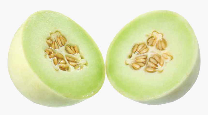 Honeydew , Png Download - Honeydew, Transparent Png, Free Download