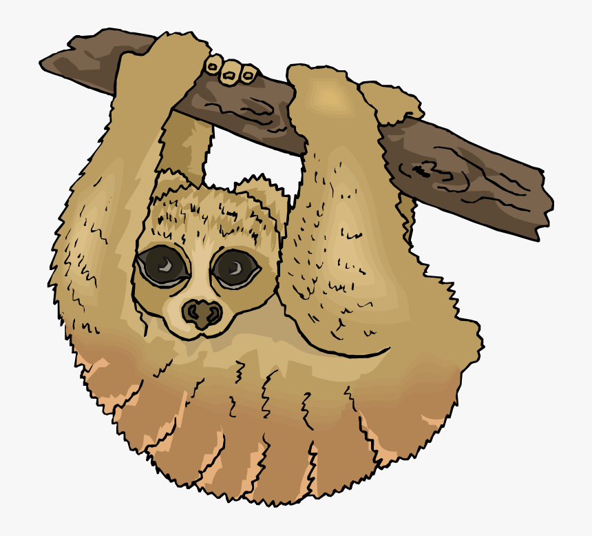 Sloth Clipart - Three Toed Sloth Clipart, HD Png Download, Free Download