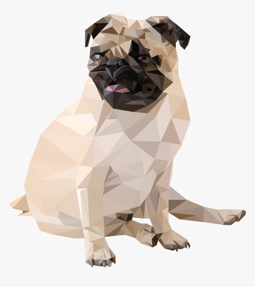 Triangle Png Tumblr - Pug, Transparent Png, Free Download