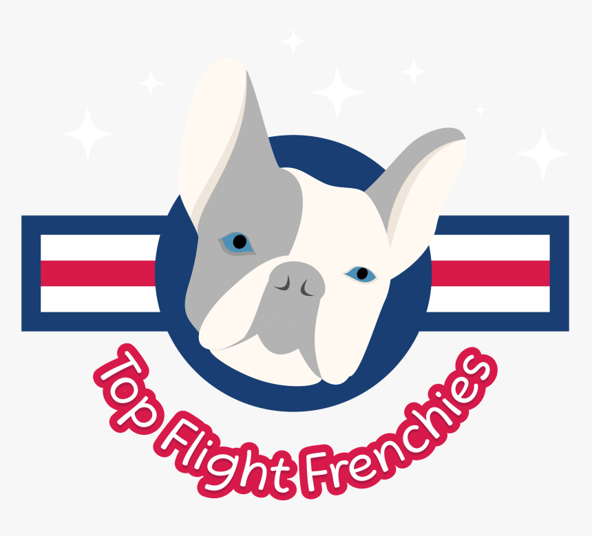 Image17 - French Bulldog, HD Png Download, Free Download