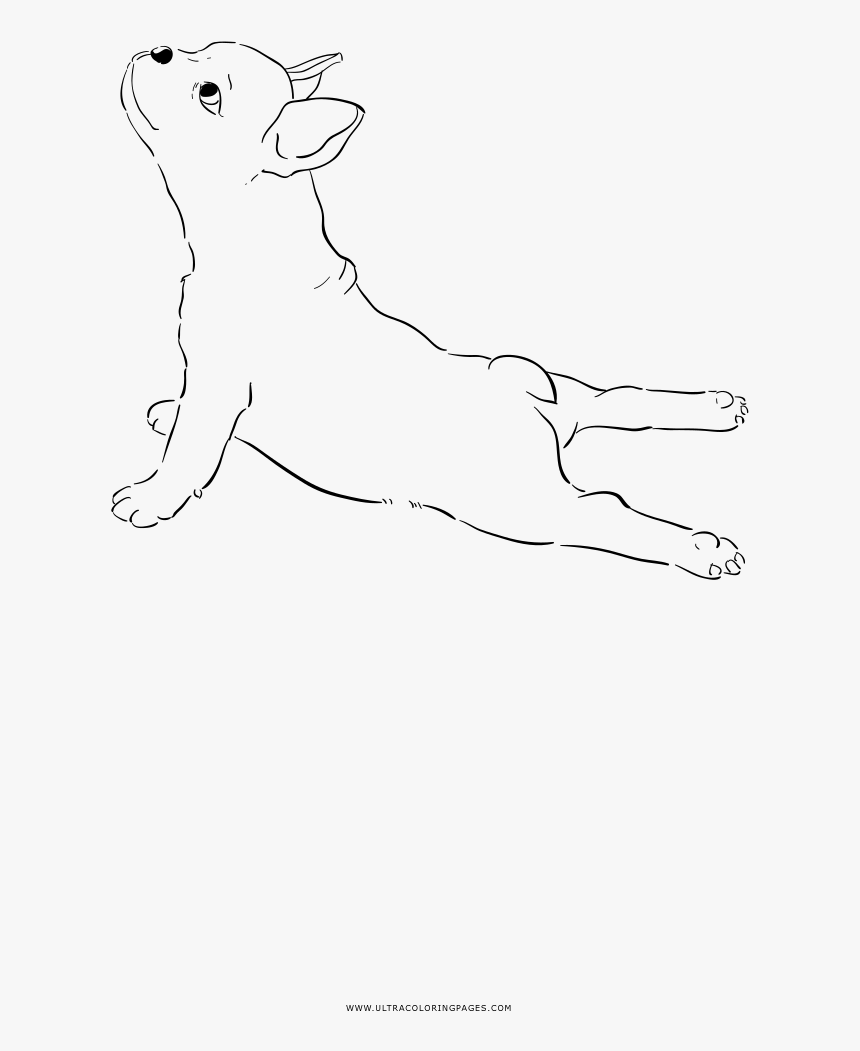 French Bulldog Coloring Page - Line Art, HD Png Download, Free Download