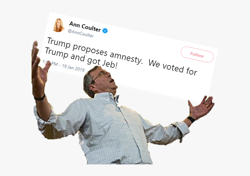 Ann Coulter @anncoulter Follow Trump Proposes Amnesty - Jeb Meme, HD Png Download, Free Download