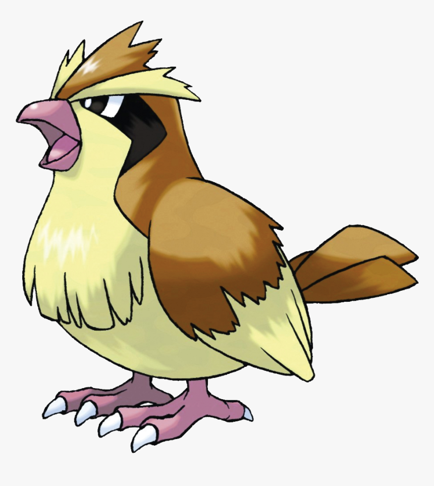 Pidgey - Pokemon Pidgey, HD Png Download, Free Download