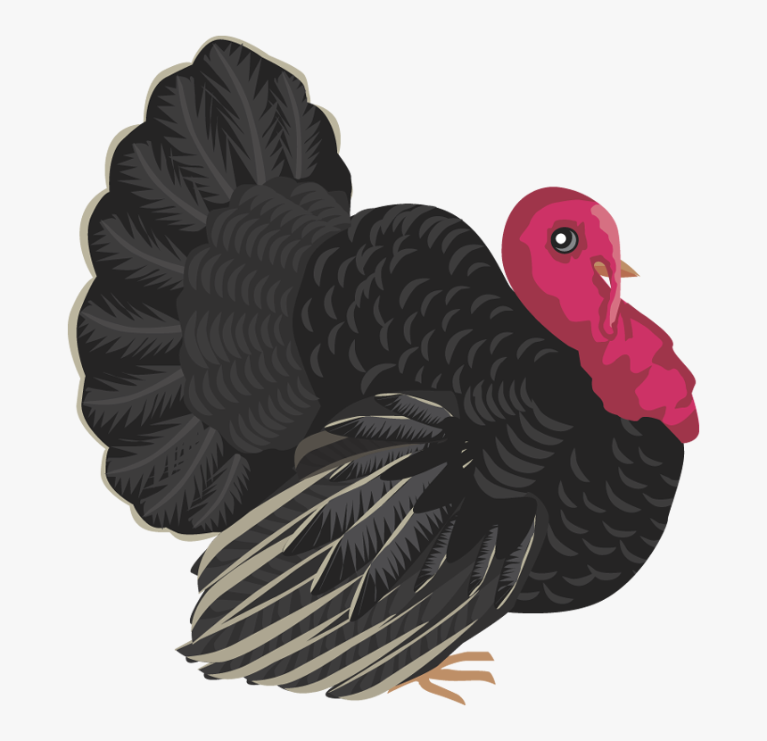 Turkey Clipart Clipart Wild Turkey - Turkey, HD Png Download, Free Download