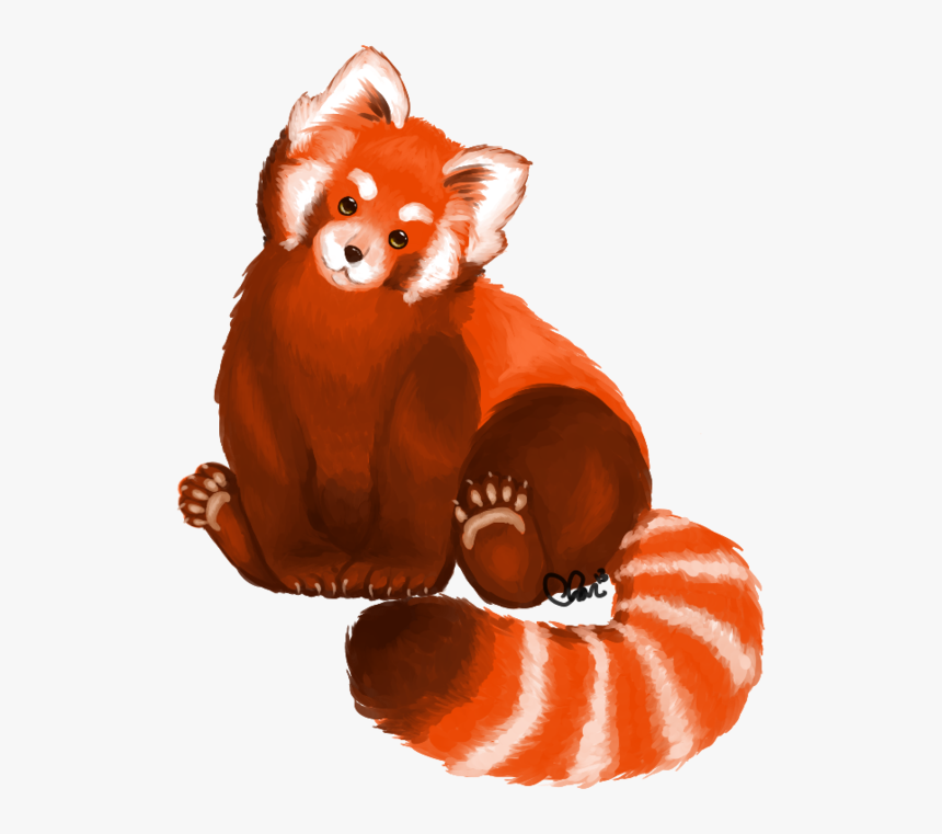 Download Red Panda Png File - Red Panda Png, Transparent Png, Free Download