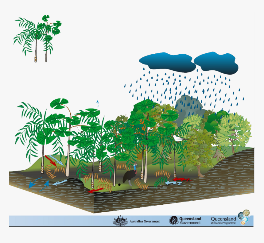 Model Of Natural Environment, HD Png Download, Free Download