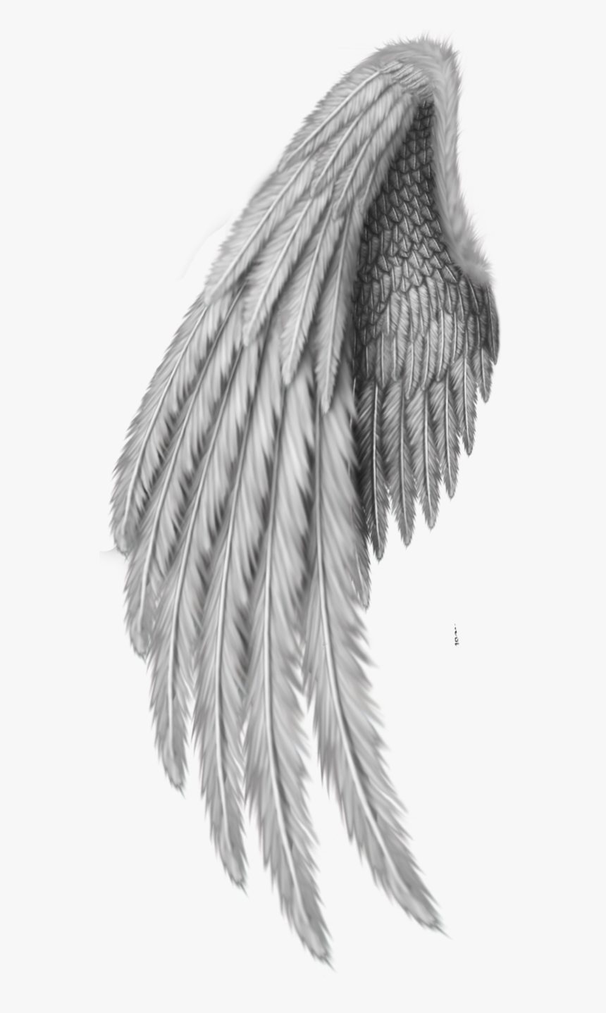 560 Best angel wings ideas