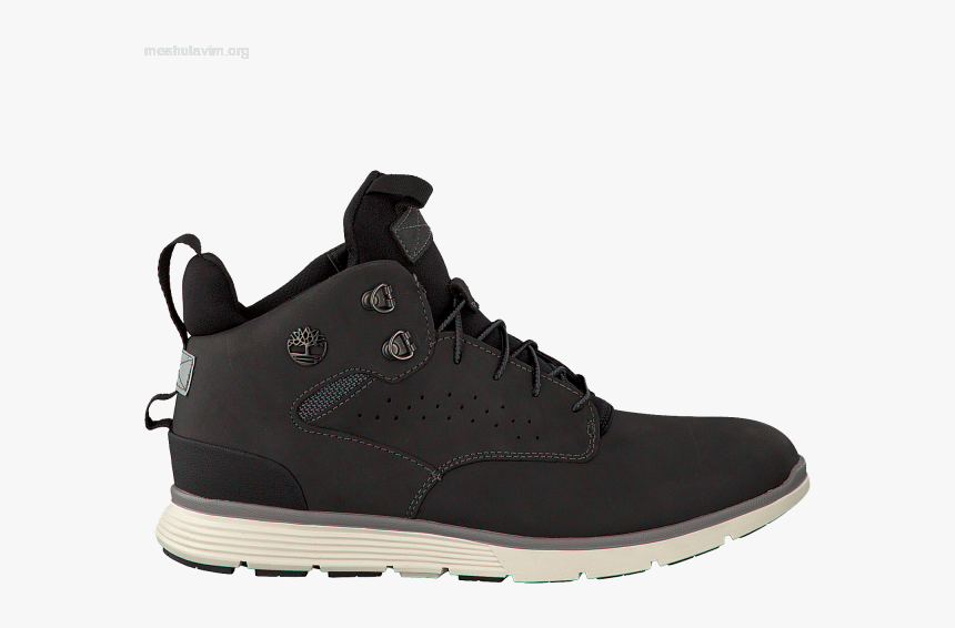 Hiking Shoe, HD Png Download, Free Download