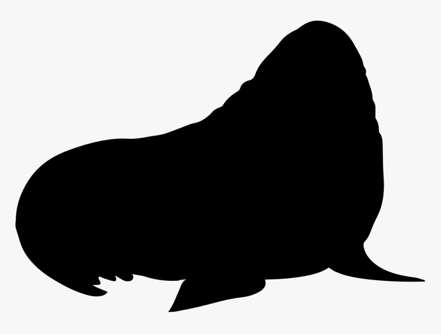 Walrus Mammal Silhouette - Shape Of A Rabbit, HD Png Download, Free Download