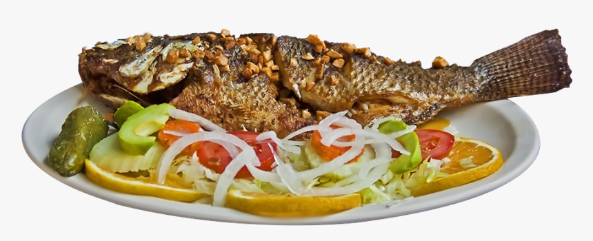 Iranian-cuisine - Comida De Pescados Y Mariscos, HD Png Download - kindpng