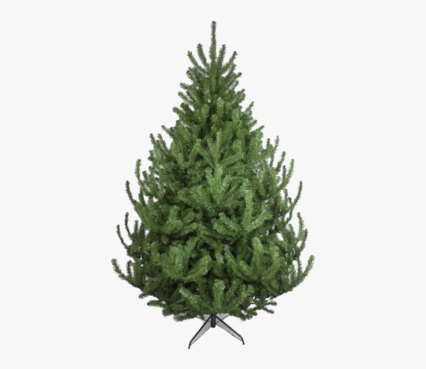 Árboles De Navidad - Christmas Tree, HD Png Download, Free Download