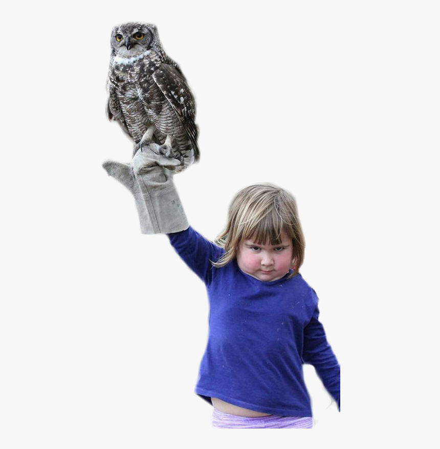 Personan Angry Girl Holding An Owl - Girl Holding Owl, HD Png Download, Free Download