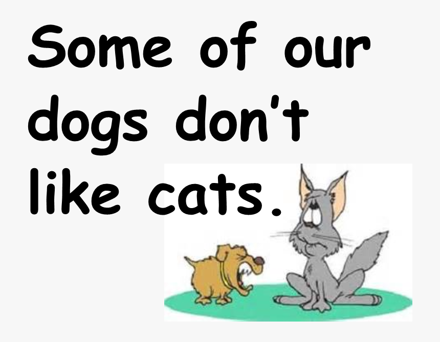 Dislike Cats - Adolin Boya, HD Png Download, Free Download