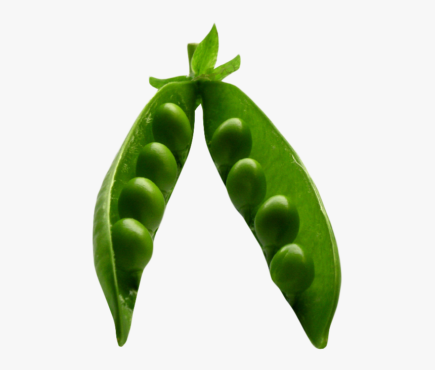 Pea Png Image, Transparent Png, Free Download