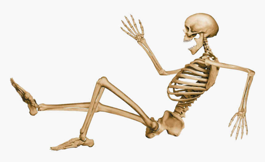 Bone Joint PNG Transparent Images Free Download, Vector Files