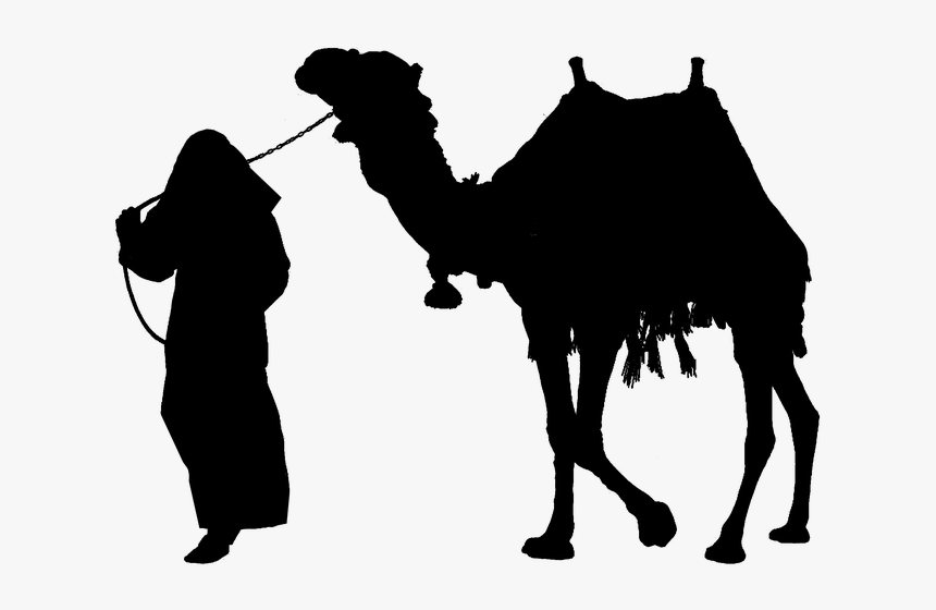 Camel Silhouette Clip Art Man On Camel Silhouette Hd Png Download Kindpng