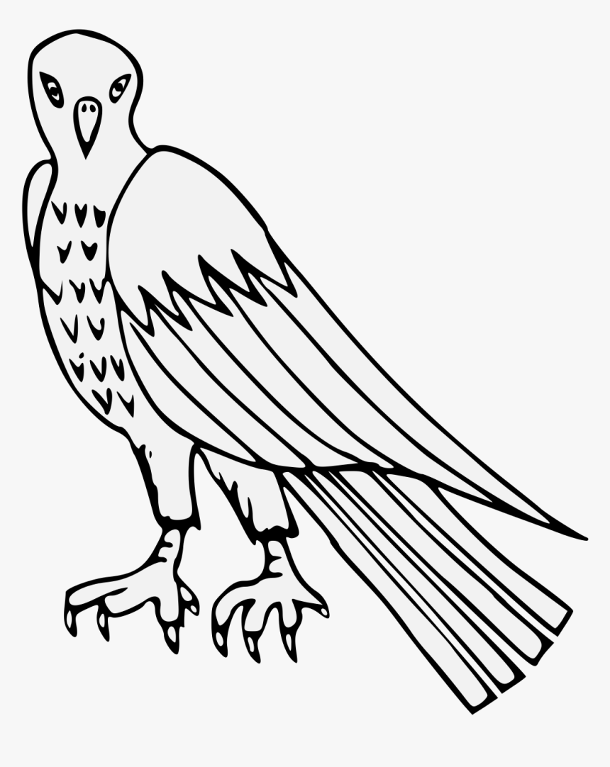 Vulture , Png Download - Osprey Clipart, Transparent Png, Free Download