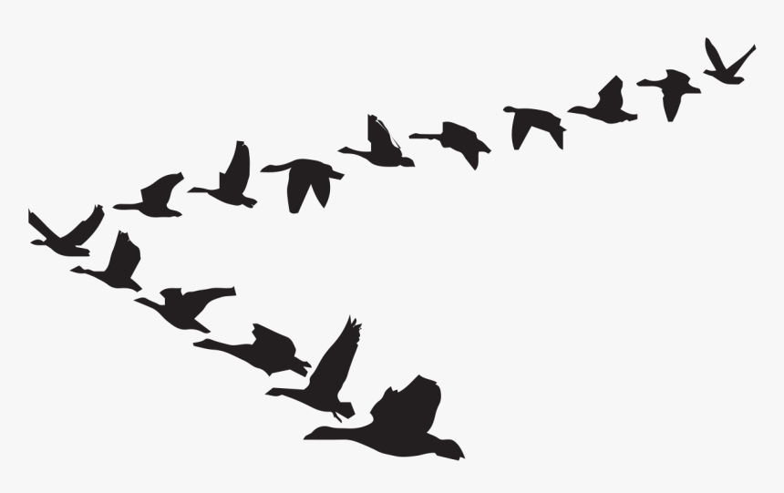 Goose Clip Art Bird Flight Vector Graphics - Kaname Akamatsu Flying Geese Model, HD Png Download, Free Download