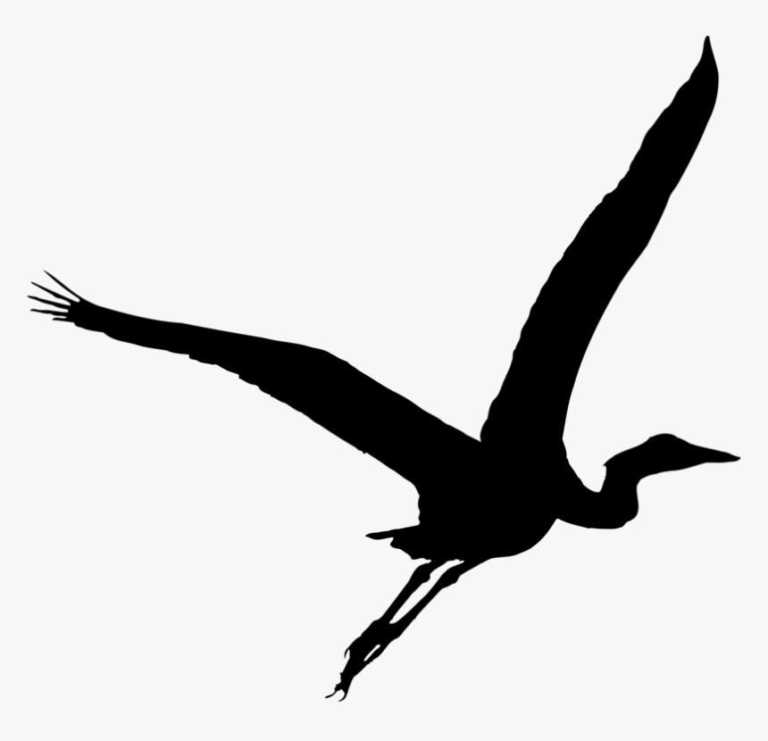 Like Bird - Heron Bird Silhouette Png, Transparent Png, Free Download