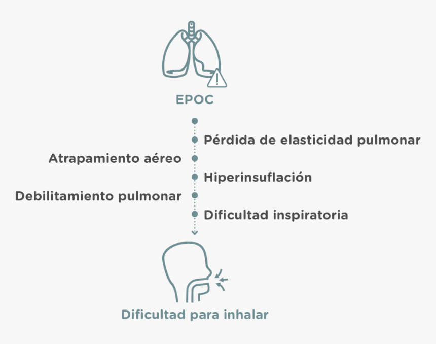 Diagram, HD Png Download, Free Download