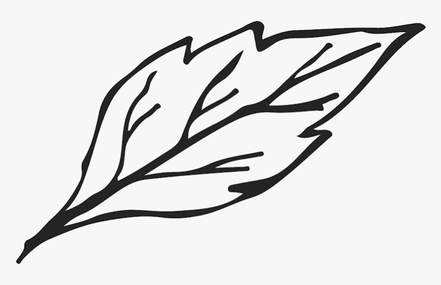 Leaf Sketch Rubber Stamp - Leaf Sketch With No Background, HD Png Download, Free Download