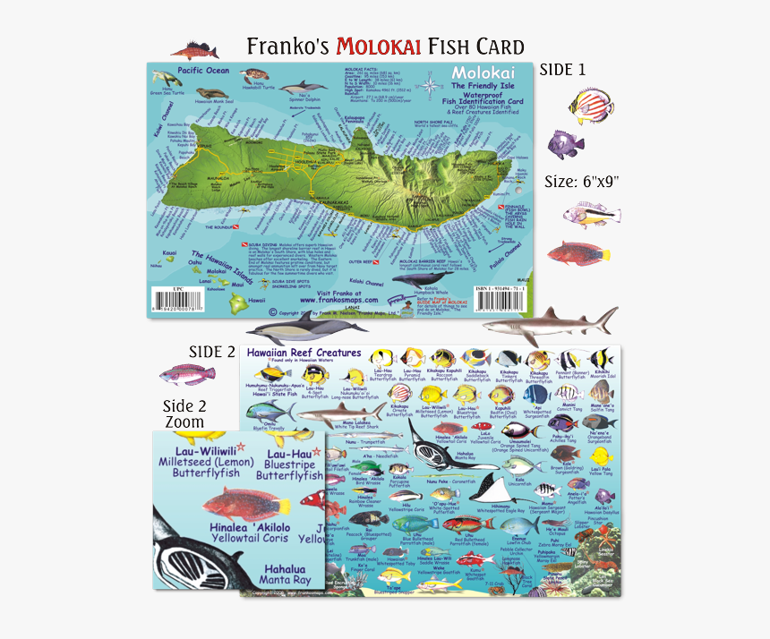 Molokai Fish, HD Png Download, Free Download