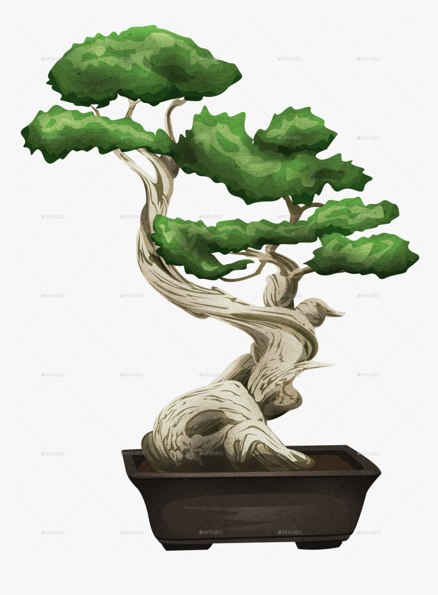 Bonsai Png, Transparent Png, Free Download