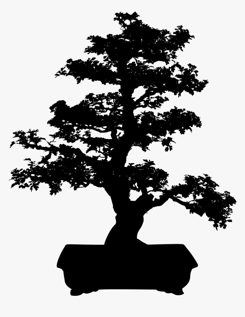 Bonsai Tree Silhouette Clip Art - Bonsai Tree Clip Art, HD Png Download, Free Download