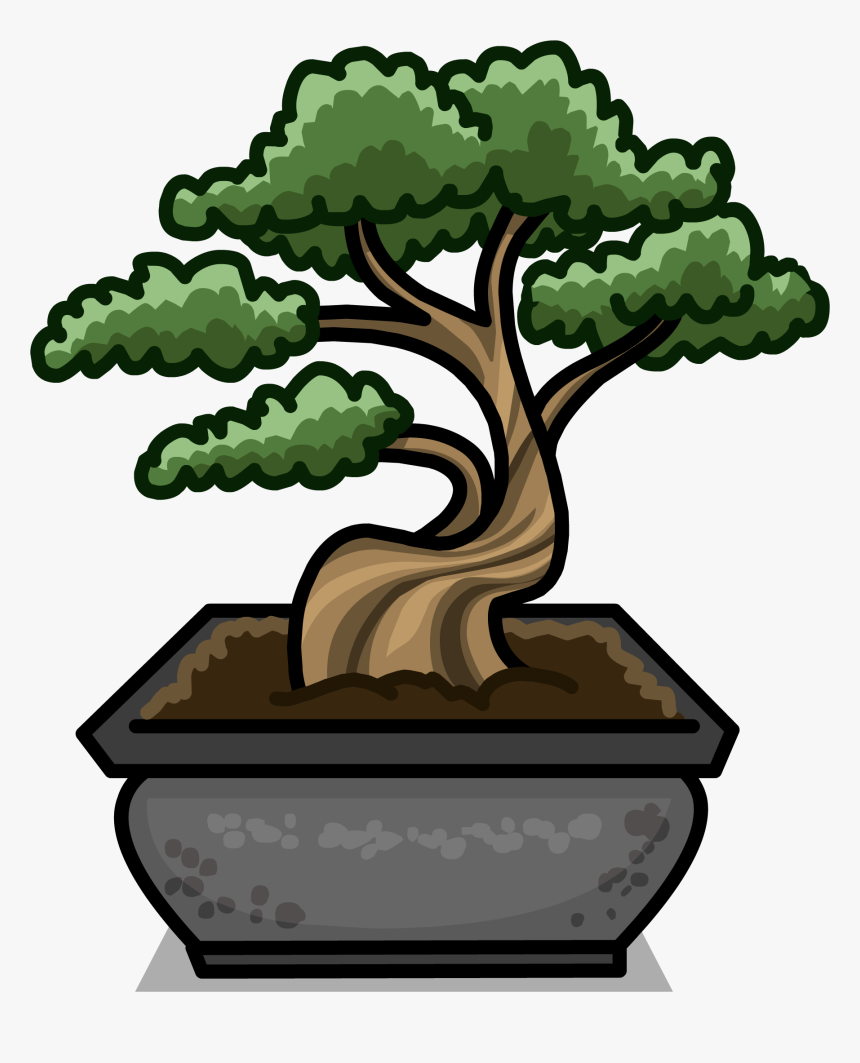 Transparent Bonsai Tree Png - Bongsai Png, Png Download, Free Download