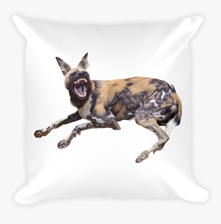 Wild Dog White Background, HD Png Download, Free Download