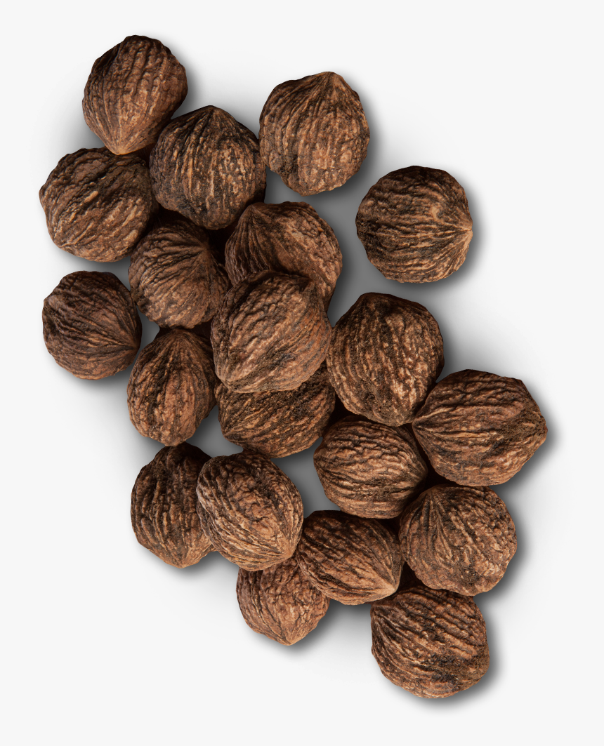 Black Walnut Transparent, HD Png Download, Free Download