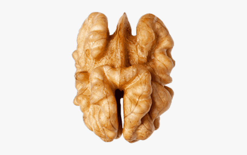 Walnut Png Transparent Images - Walnut Png, Png Download, Free Download