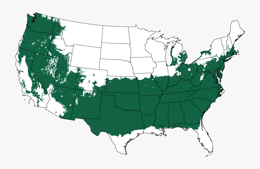 Cherry Laurel Growing Zone, HD Png Download, Free Download