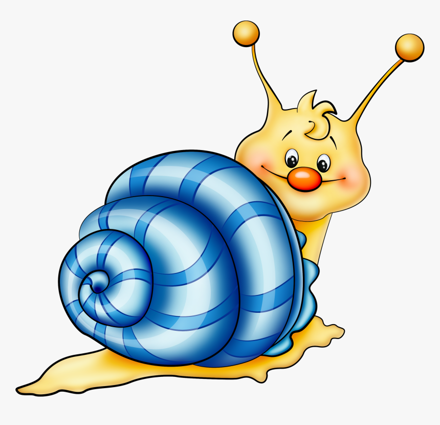 Dibujo De Un Caracol A Color, HD Png Download, Free Download