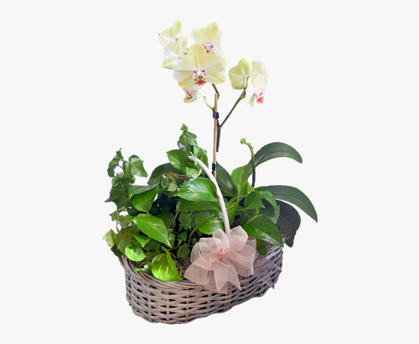 Orchid Basket - Artificial Flower, HD Png Download, Free Download