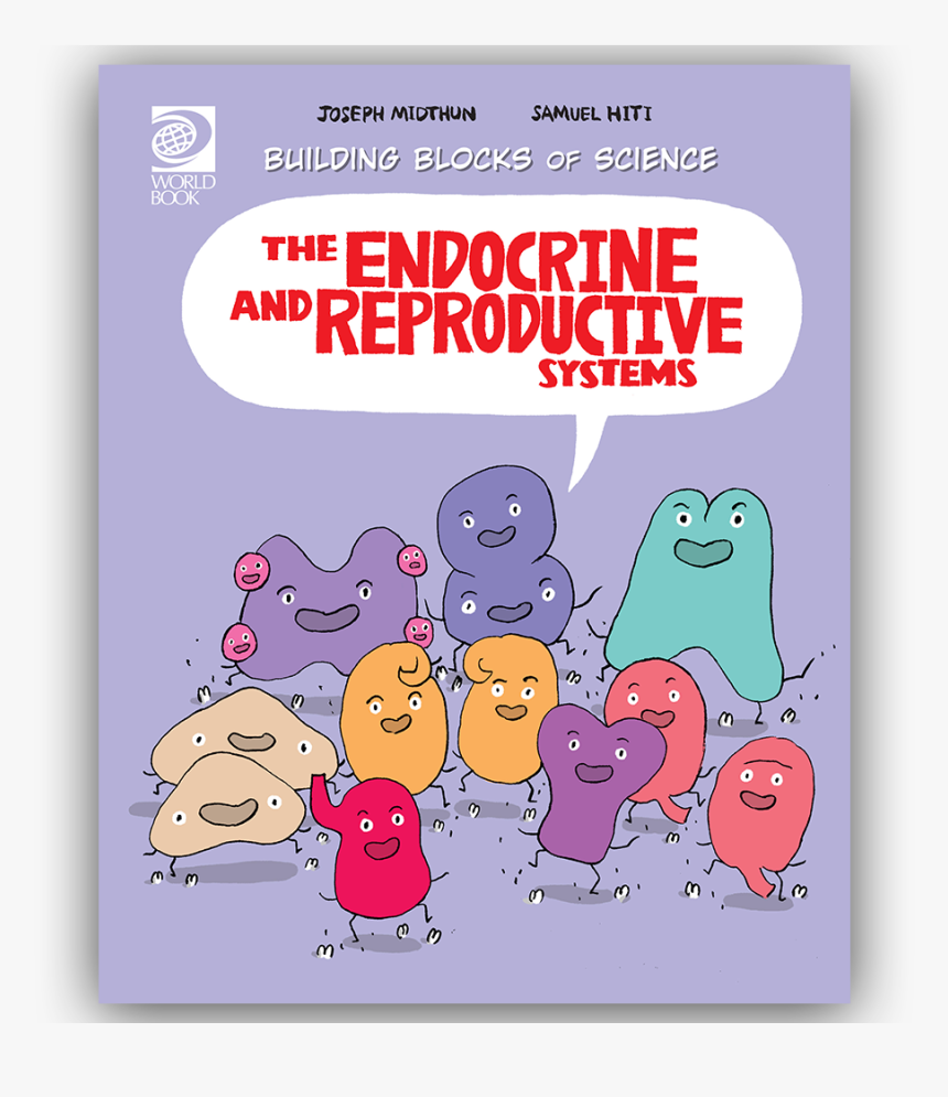 Cartoon Endocrine System Organs, HD Png Download - kindpng