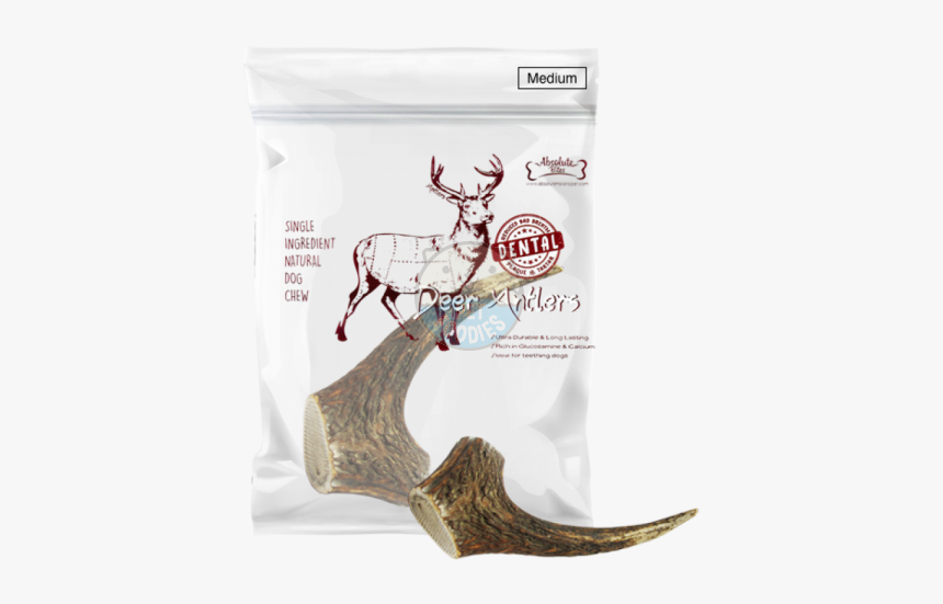 Antler, HD Png Download, Free Download