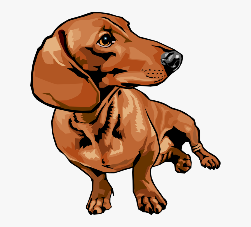 Vector Illustration Of Cute Dachshund Dog Sitting And Dachshund