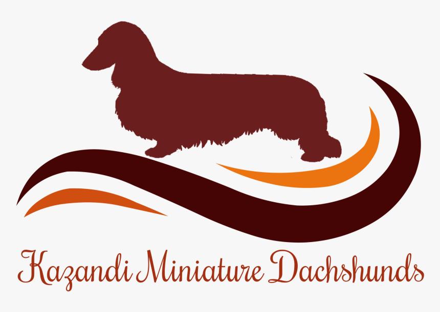 Color Logo Transparent - Dog Catches Something, HD Png Download, Free Download