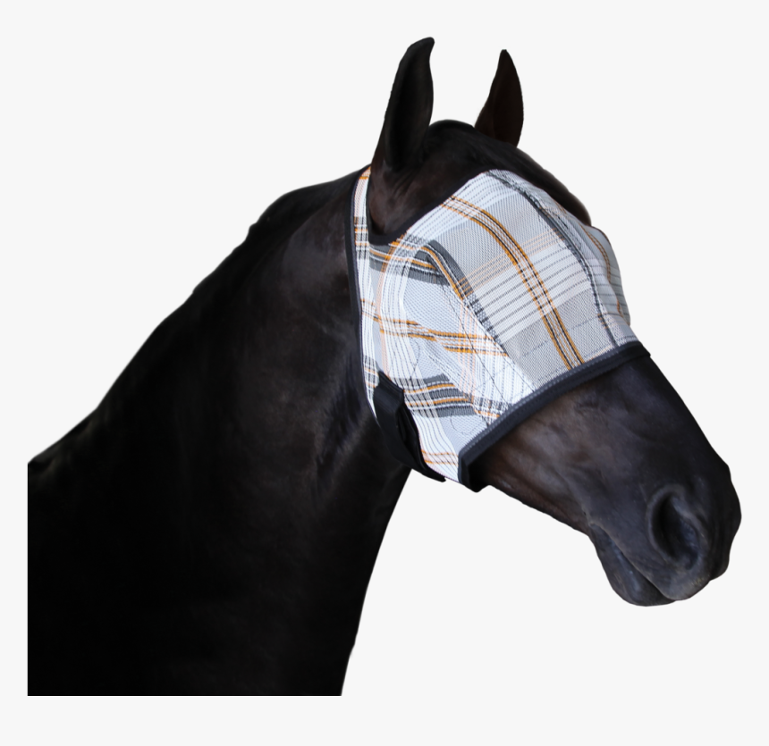 Post Surgical Recovery Fly Mask"

 
 Data Rimg="lazy"
 - Horse Mask For Eye Injury, HD Png Download, Free Download