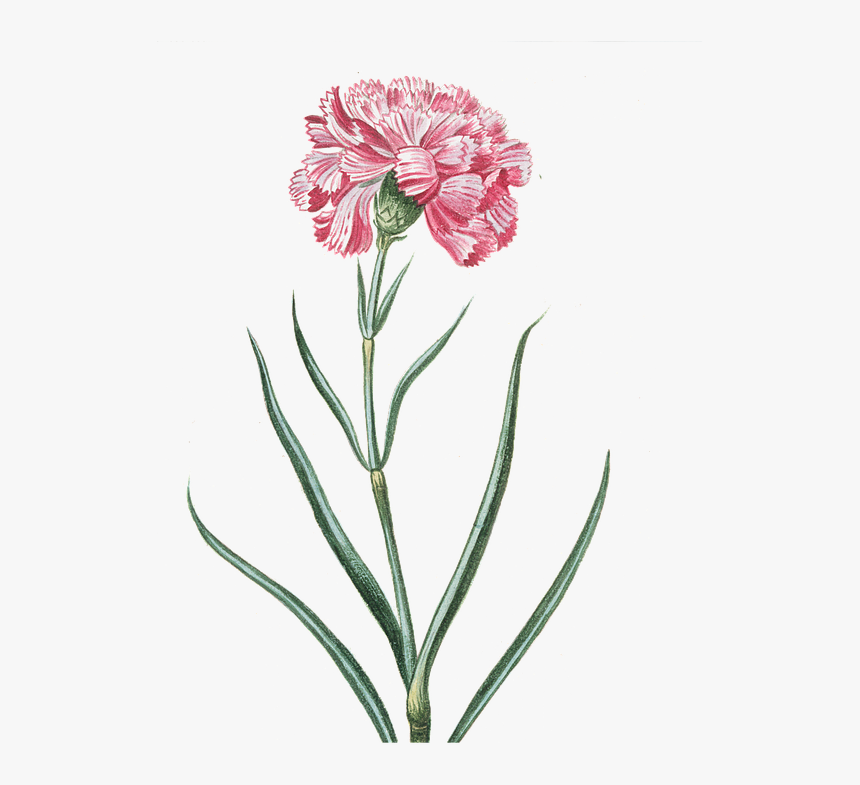 Vintage Flowers Png Transparent, Png Download, Free Download