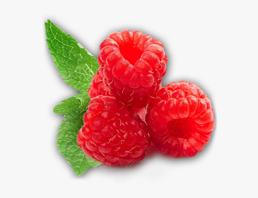 Rraspberry Png Image - Raspberry Png, Transparent Png, Free Download