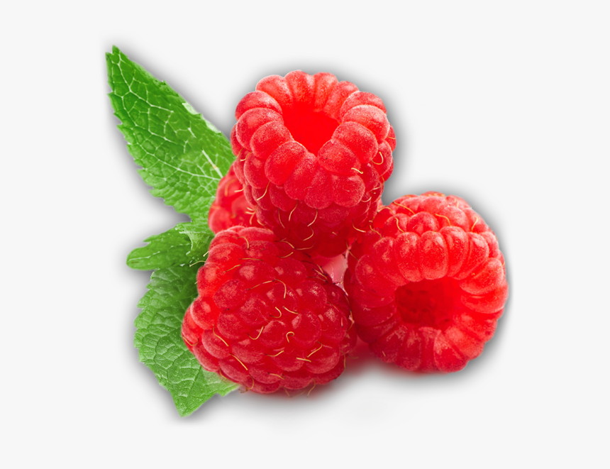 Прозрачная малина. Raspberry Малинка. Малина для детей. Ягоды без фона. Малина стикер.