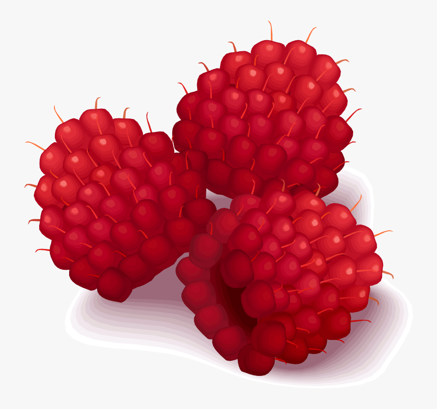 Raspberries - Raspberries Clipart, HD Png Download, Free Download