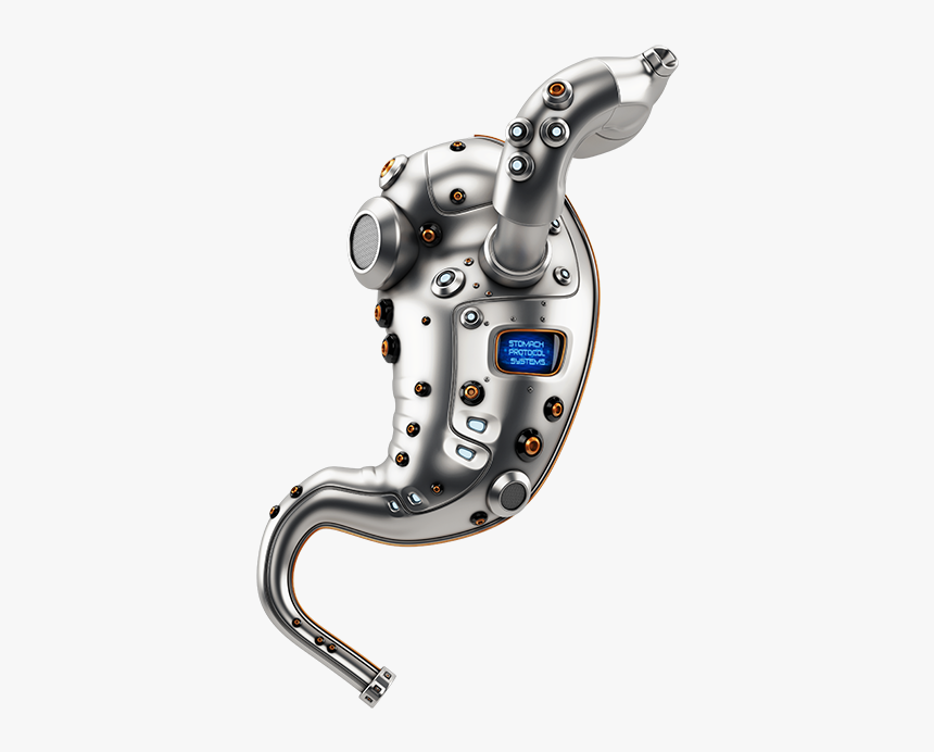 Robotic Stomach - Steel Stomach, HD Png Download, Free Download