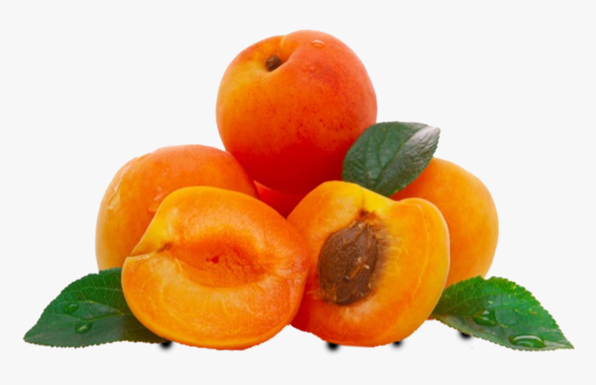 Transparent Apricot Png - Apricot Oil, Png Download, Free Download