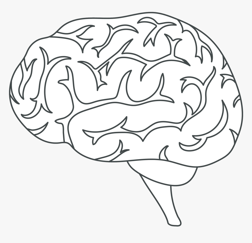 Brain Icon White Plexon - Cerebro Ilustracao Contorno, HD Png Download, Free Download