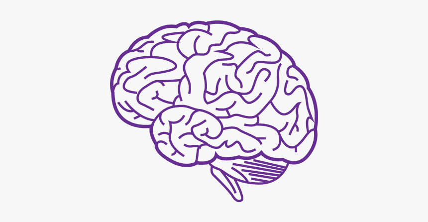 Transparent Purple Brain, HD Png Download, Free Download