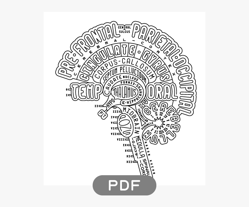 Aaron Kuehn Typogram - Brain Typogram, HD Png Download, Free Download