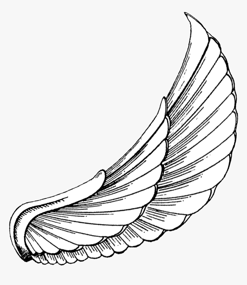 Vector Royalty Free Download To Download Click On - Wings Hd Tattoo ...